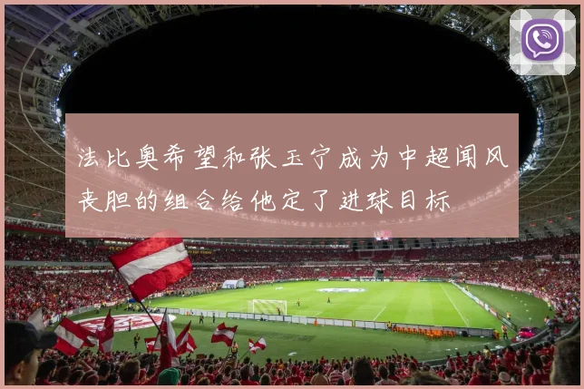 法比奥希望和张玉宁成为中超闻风丧胆的组合给他定了进球目标